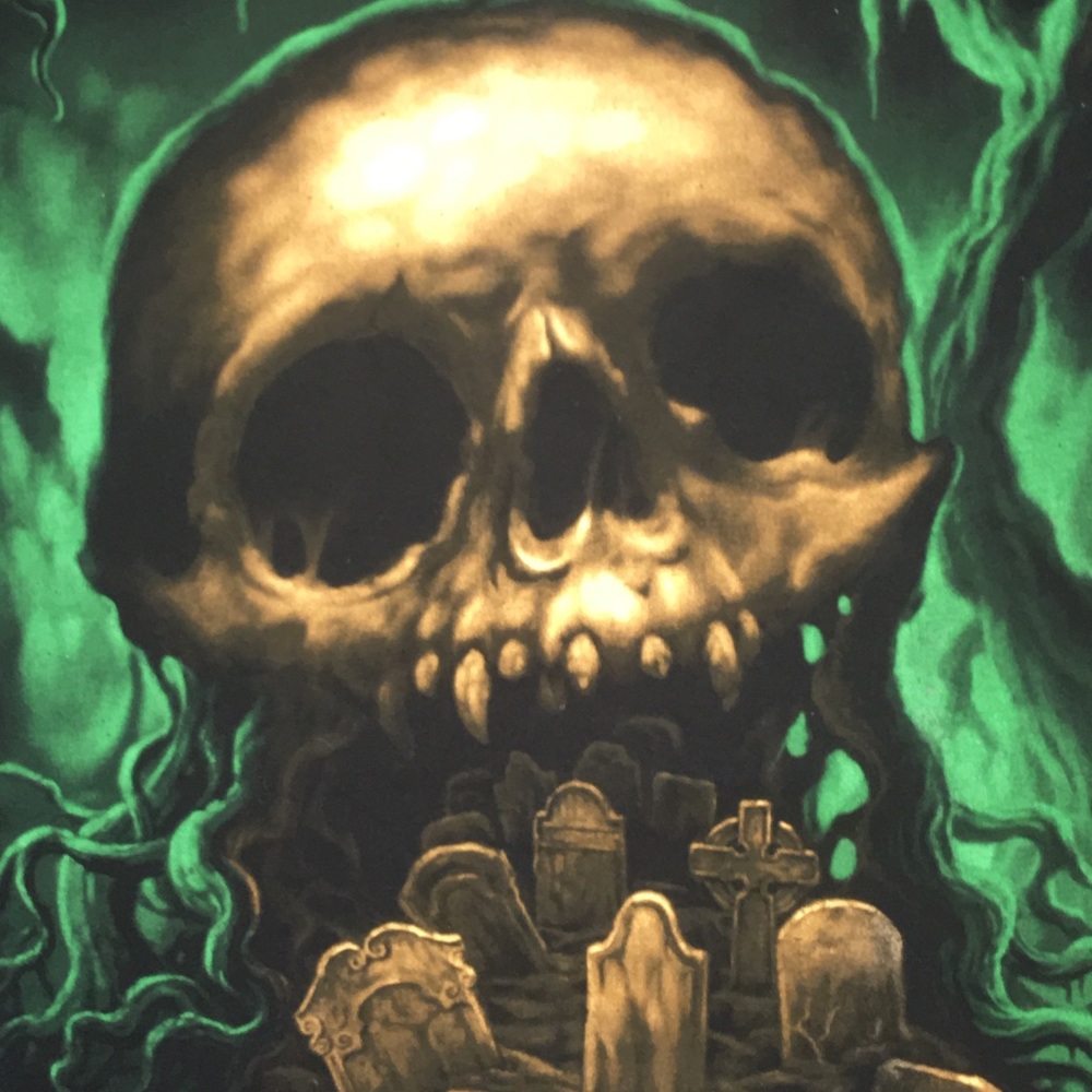 Skull Cemetery Mens Black T Shirt Anvil Sz XL EUC